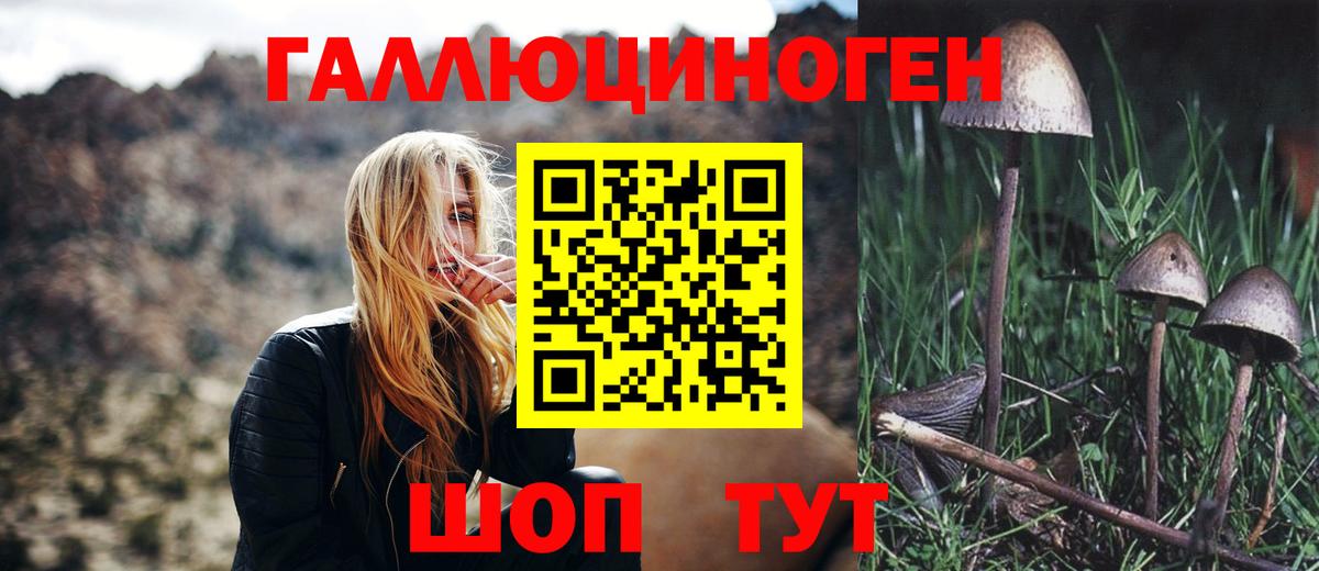 Псилоцибиновые грибы мухоморы Крымск
